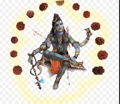 Rudraksha means 'The Tear of Lord Shiva', Brief Story of Goddess Lakshmi Devi and Rudraksa , Lord Vishnu, Narada Maharshi
